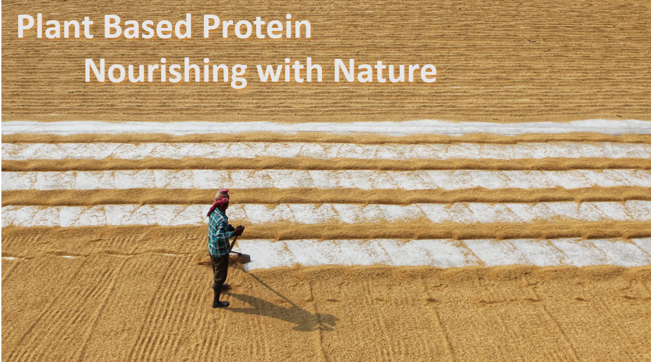 Plant Based Protein  Nourishing with Nature